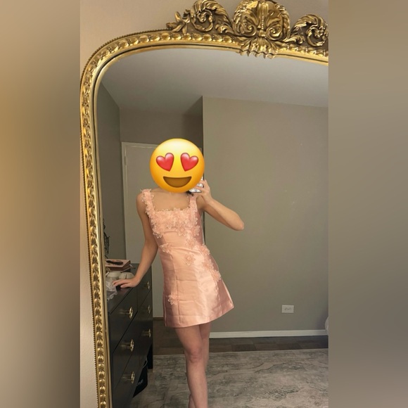 ELLIATT | Opera Elder Dress in Blush | Size: XS - Picture 5 of 7